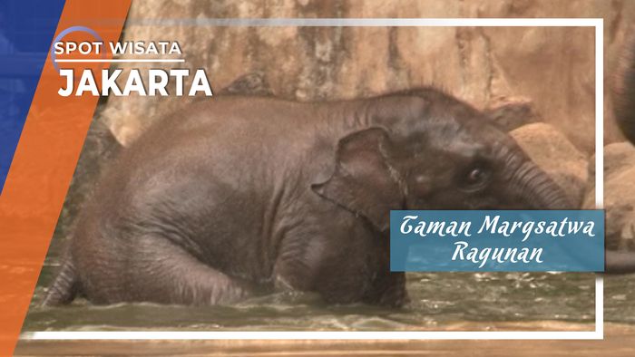Taman Margsatwa Ragunan Jakarta