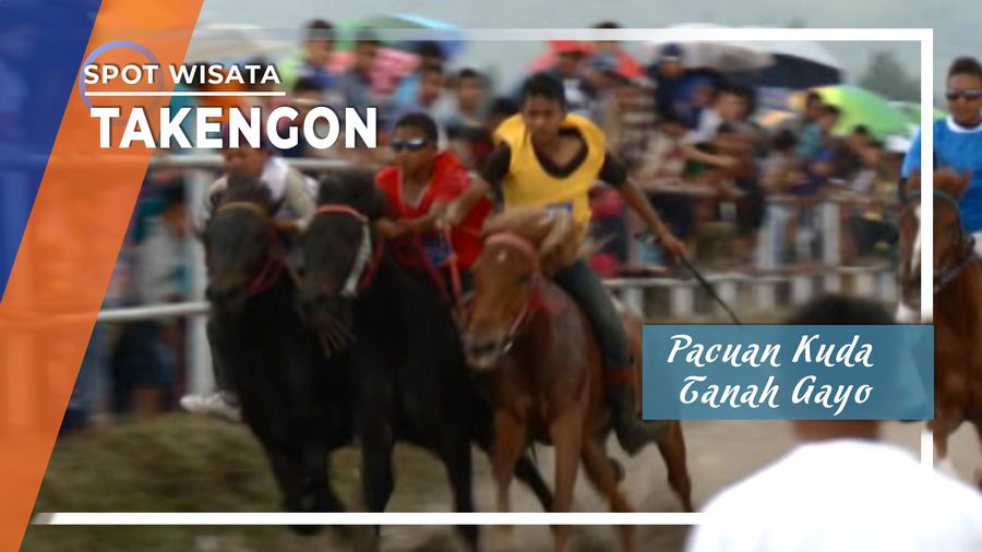 Pacuan Kuda Tanah Gayo Takengon Aceh