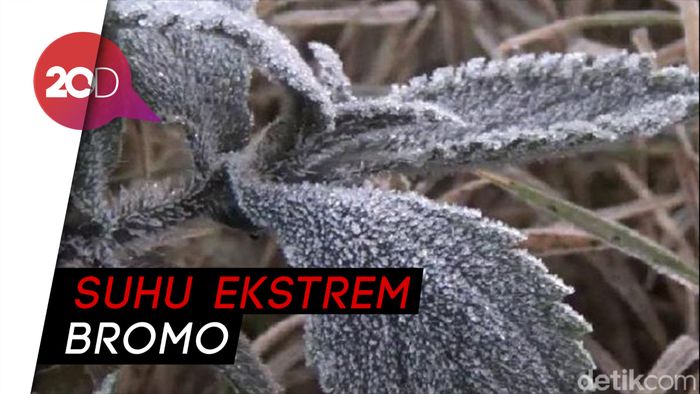 Wisatawan Padati Kawasan Bromo, Padahal Suhu Capai 0 Derajat Celsius