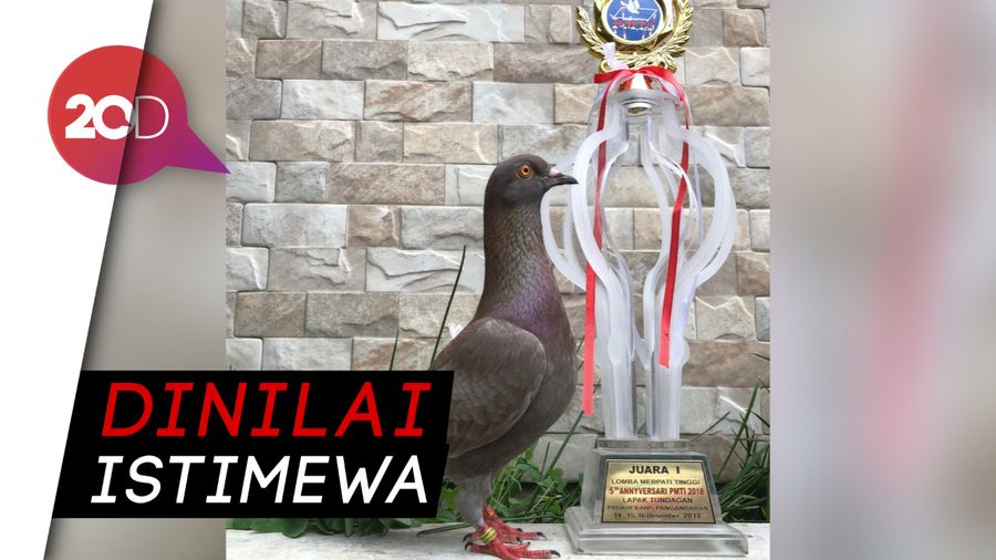 Aksi Jayabaya, Merpati Berharga Rp 1 Miliar!