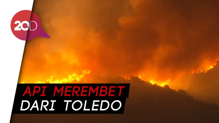 Kebakaran Hutan Melanda Madrid, 75 Orang Dievakuasi