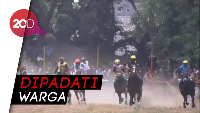Meriahnya Kejuaran Pacuan Kuda di Polewali Mandar