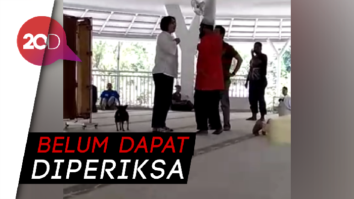 Wanita Bawa Anjing Masuk Masjid Sudah Ditahan