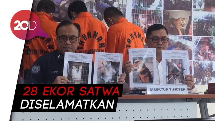 Penjual Satwa Ilegal Via Online Berhasil Dibekuk Polisi