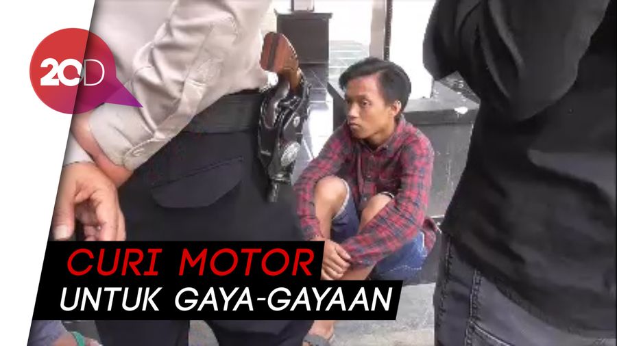 Curi Motor demi Pacar, Nyamuk Ditangkap Polisi Curi Motor demi Pacar, Nyamuk Ditangkap Polisi
