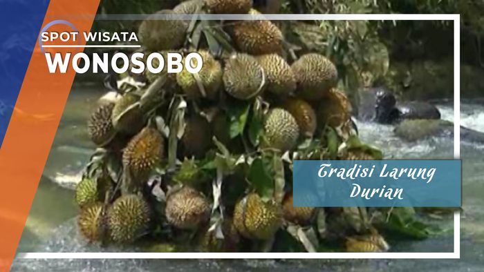 Tradisi Larung Durian Desa Sindu Agung Wonosobo