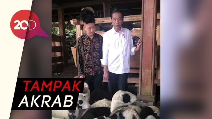  Jokowi Ajak Rich Brian Lihat Kambing di Istana Bogor