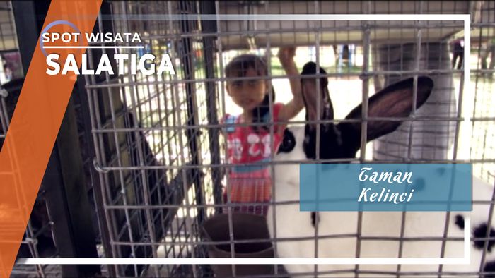 Taman Kelinci Salatiga