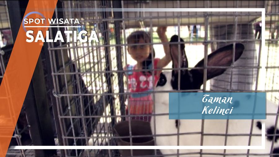 Taman Kelinci Salatiga