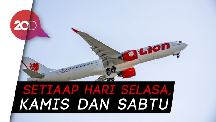  Harga Tiket Pesawat Didiskon 50% untuk 30% Kursi 