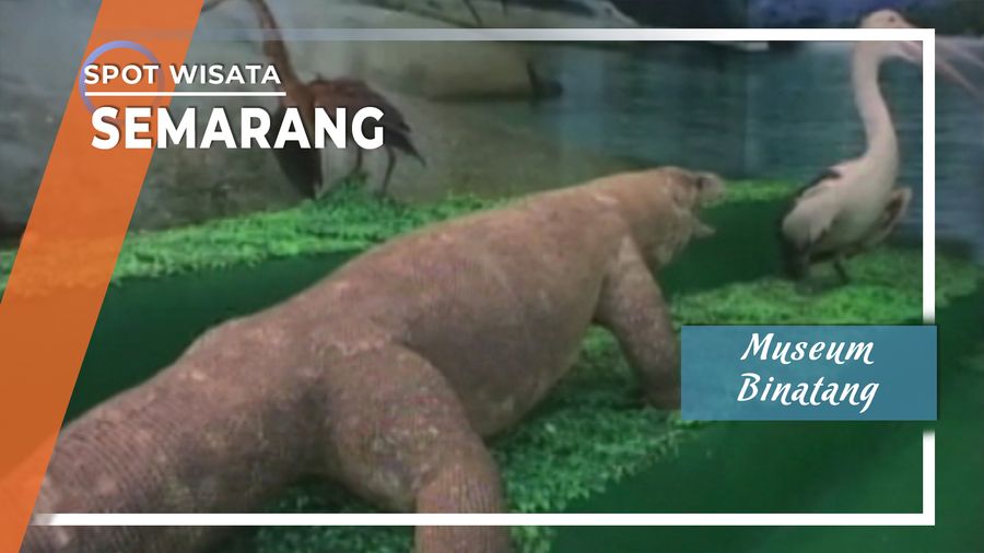 Museum Binatang Mangkang Semarang