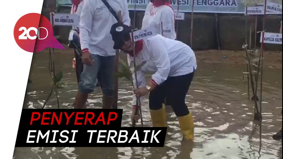 Mitigasi Perubahan Iklim, Ibu PKK di Sultra Tanam 5 Ribu Mangrove