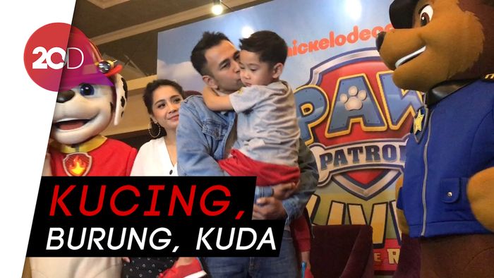 Raffi Ahmad Ajarkan Rafathar Sayangi Binatang 