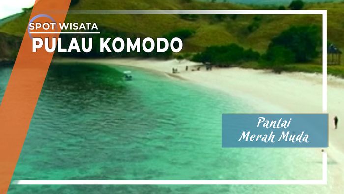 Pantai Merah Muda Manggarai Barat Pulau Komodo