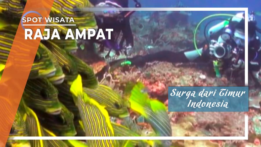 Raja Ampat, Surga Bawah Air Di Ujung Timur Indonesia