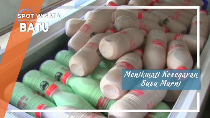 Kesegaran Susu Sapi Murni di Depot Ganesha Batu Malang