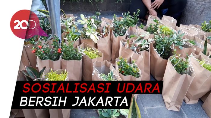 Berbagi Bibit Tanaman Gratis di CFD Demi Udara Jakarta