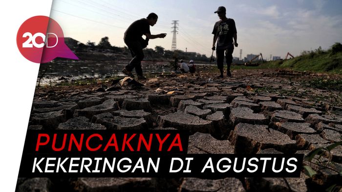 BNPB: 7 Provinsi Dilanda Kekeringan