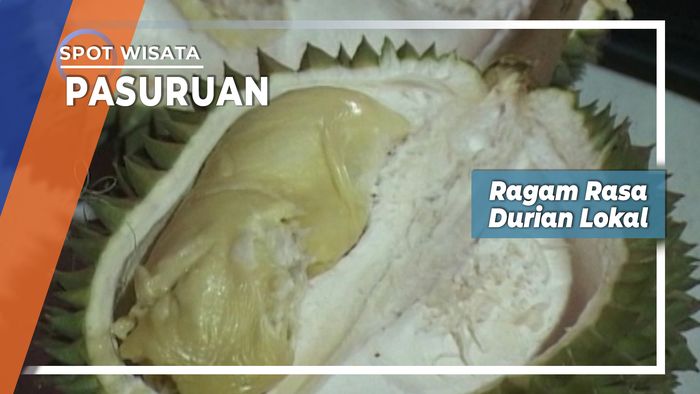 Durian Lokal Desa Warung Dowo Pasuruan