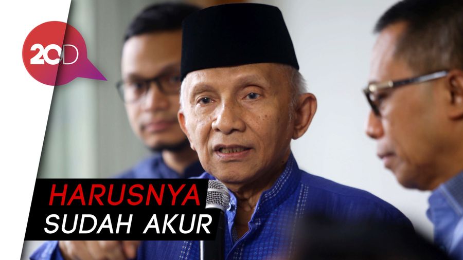 Amien Rais: Tak Ada Lagi Cebong-Kampret, Tinggal Cebong Bersayap