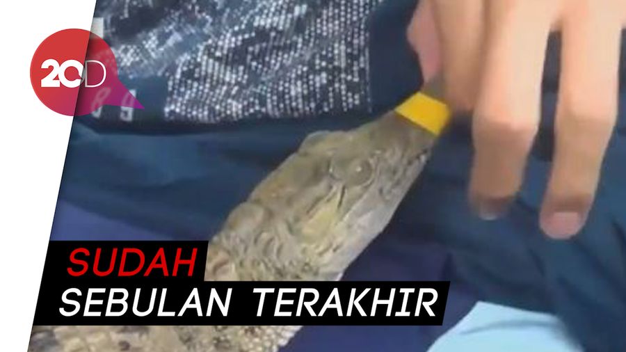 Kawanan Buaya Hantui Warga Bogor