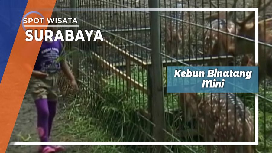 Kebun Binatang Mini, Surabaya
