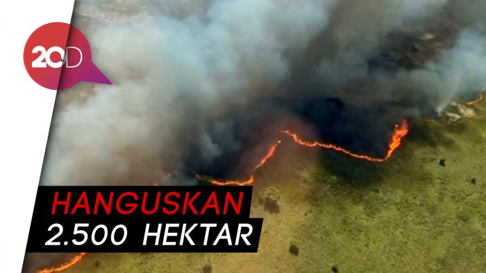 Cagar Warisan UNESCO di Meksiko Terbakar