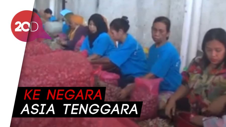 Pemerintah Ekspor 1.000 Ton Bawang Merah dan 500 Ton Jahe