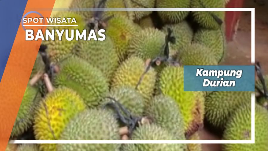 Sentra Durian Desa Karang Salam Banyumas
