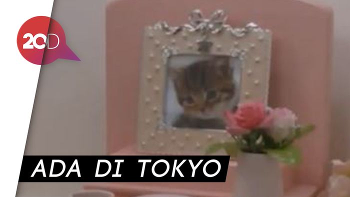 Kafe Ini Obati Rindu pada Hewan Kesayangan yang Telah Tiada