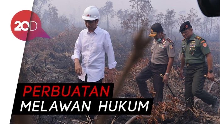 Kasus Kebakaran Hutan, Jokowi Kalah di Tingkat Kasasi