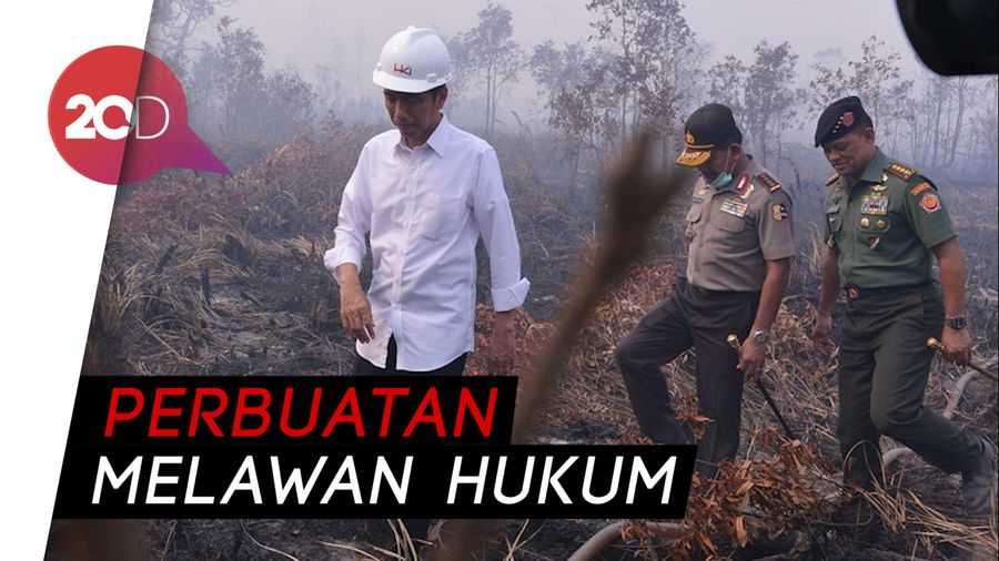 Kasus Kebakaran Hutan, Jokowi Kalah di Tingkat Kasasi