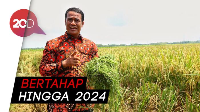 Kementan Siapkan 500 Juta Bibit Unggul Hingga 2024
