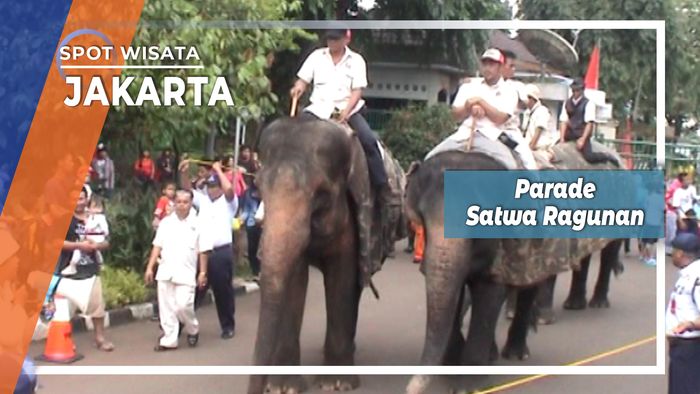 Eksotisme Binatang Taman Marga Satwa Ragunan Jakarta