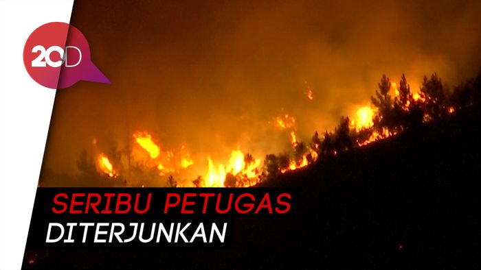 Ngerinya Kebakaran Hutan di Portugal