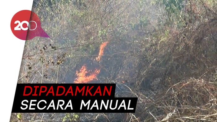 Sekitar 8 Ha Bukit Bentar Terbakar, Petugas Kesulitan Padamkan Api