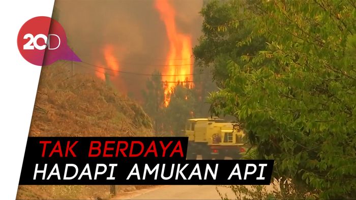 Ribuan Petugas Dikerahkan, Kebakaran di Portugal Belum Teratasi