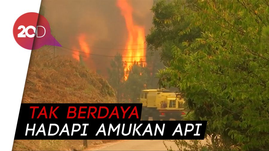 Ribuan Petugas Dikerahkan, Kebakaran di Portugal Belum Teratasi