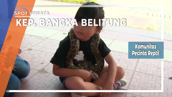 Komunitas Pecinta Reptil di Kepulauan Bangka Belitung  