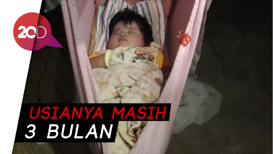 Bayi di Polewali Mandar Beratnya 7,4 Kg karena Susu Formula