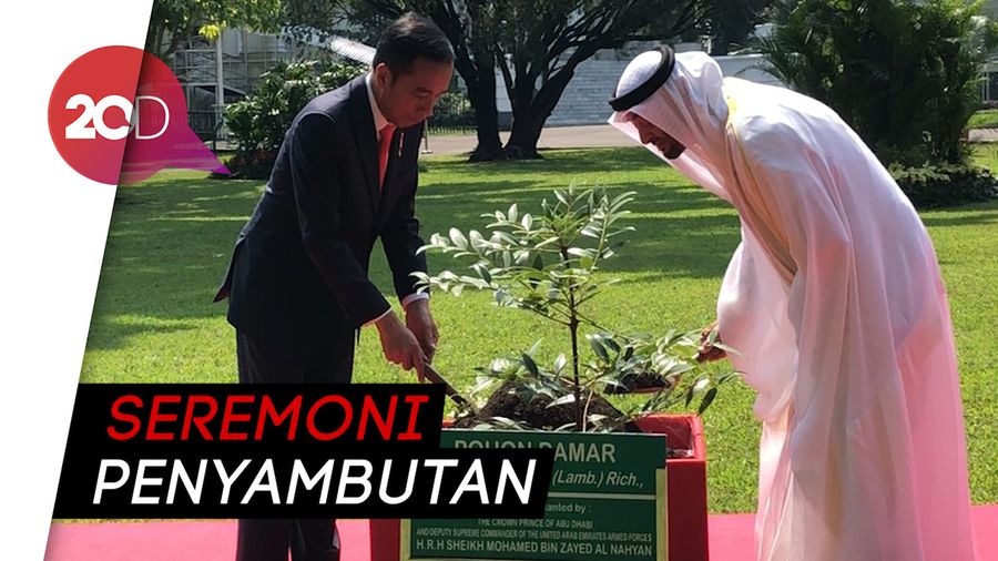 Sambut Putra Mahkota Abu Dhabi, Jokowi Tanam Pohon Bareng