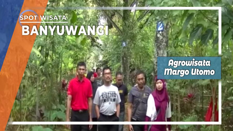 Agrowisata Margo Utomo Banyuwangi 