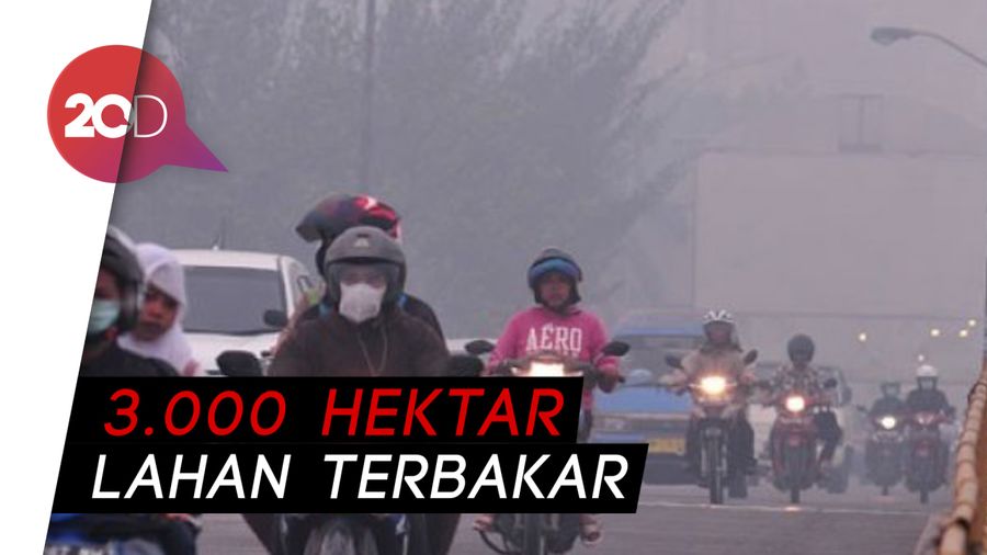 Akibat Karhutla, Kabut Asap Selimuti Pekanbaru