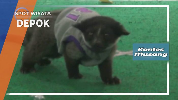 Komunitas Pecinta Musang, Depok