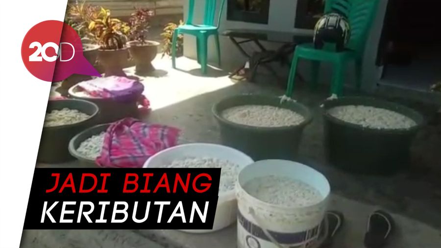 4 Rumah Pembuat Miras Digerebek, Ratusan Liter Disita