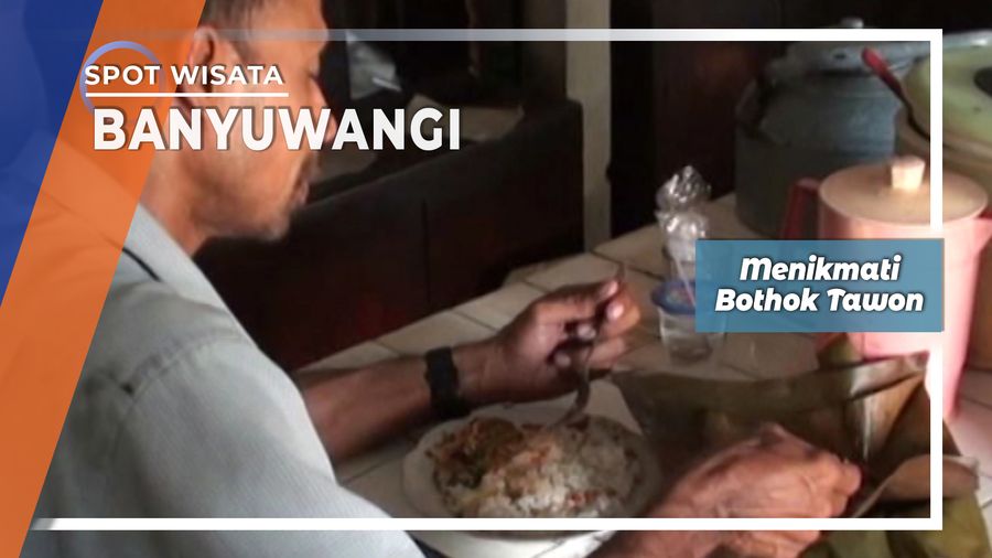 Tolo, Si Botok Tawon Asal Singojuruh Banyuwangi 