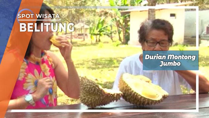 Durian Montong Jumbo Rase Belitong Di Kelapa Kampit Belitung Timur