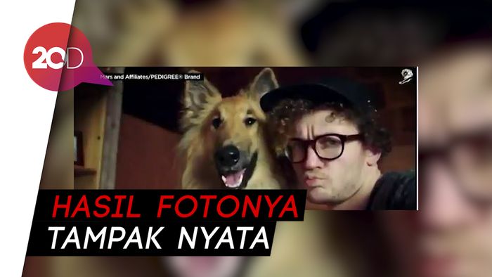 Dentastix, Aplikasi Foto Khusus untuk Anjing