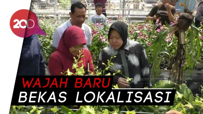 Dulu Tempat Melek, Sekarang Disulap jadi Kebun Anggrek