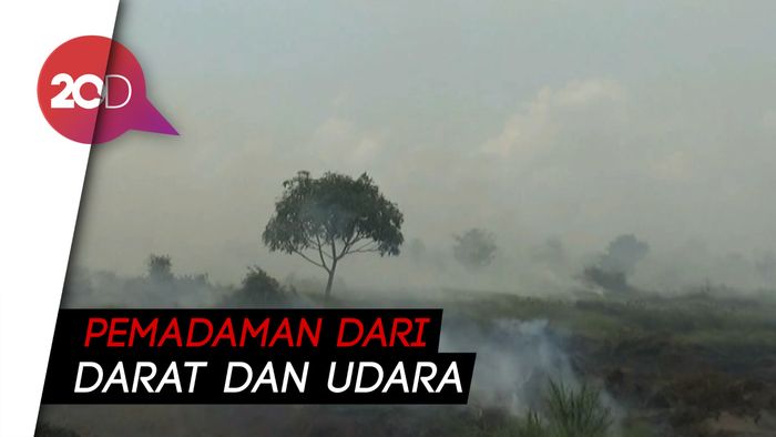 Karhutla di Jambi Meluas, 110 Hektare Sudah Terbakar
